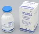 Ceftriaxone + Salbactum Injection( Trixone-S)